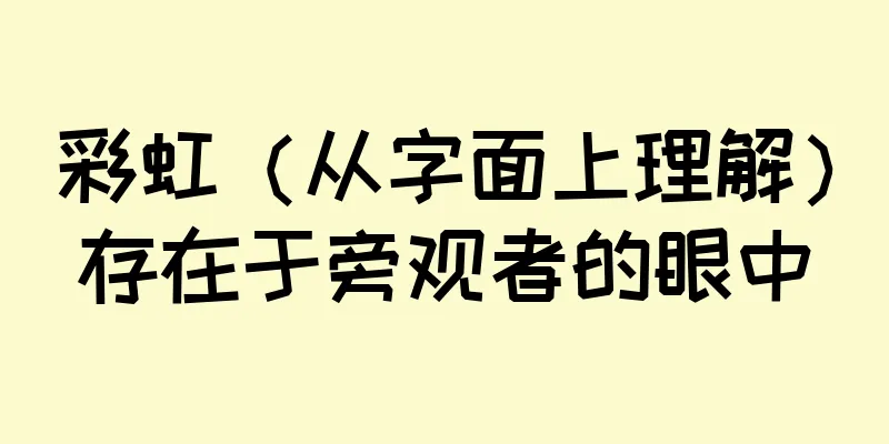 彩虹（从字面上理解）存在于旁观者的眼中