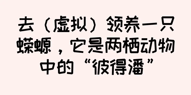 去（虚拟）领养一只蝾螈，它是两栖动物中的“彼得潘”