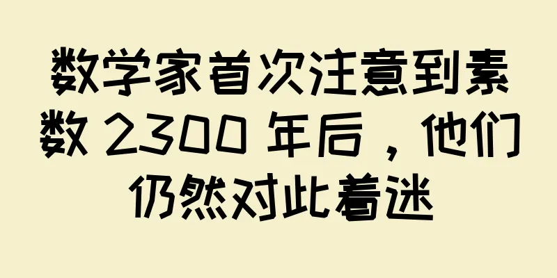 数学家首次注意到素数 2300 年后，他们仍然对此着迷