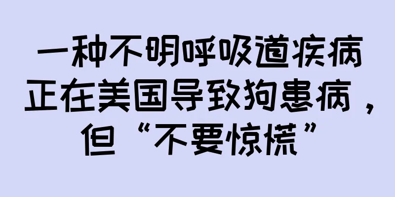 一种不明呼吸道疾病正在美国导致狗患病，但“不要惊慌”