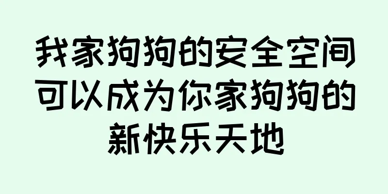 我家狗狗的安全空间可以成为你家狗狗的新快乐天地