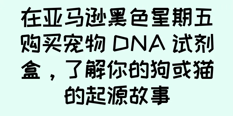 在亚马逊黑色星期五购买宠物 DNA 试剂盒，了解你的狗或猫的起源故事