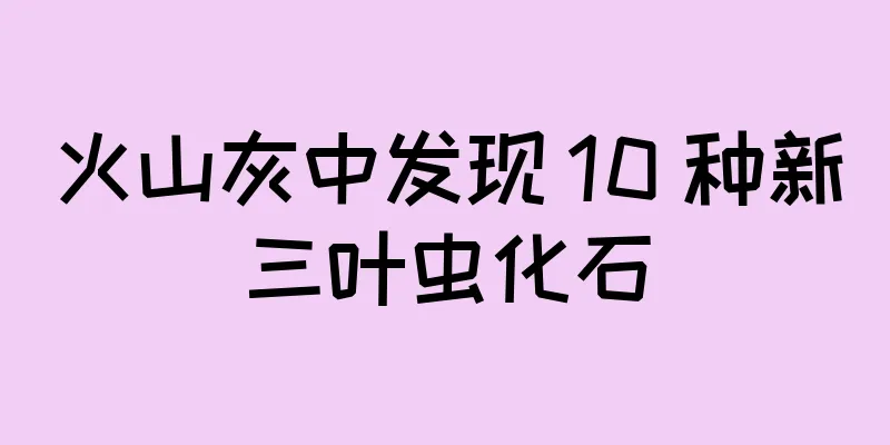 火山灰中发现 10 种新三叶虫化石