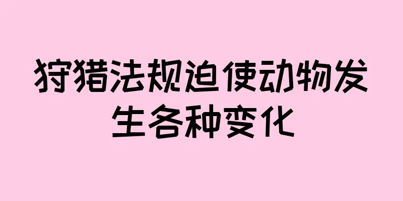 狩猎法规迫使动物发生各种变化