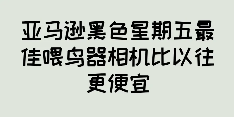 亚马逊黑色星期五最佳喂鸟器相机比以往更便宜