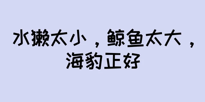水獭太小，鲸鱼太大，海豹正好