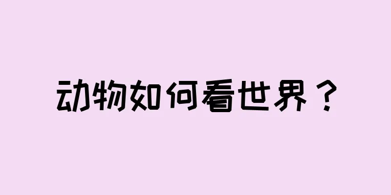 动物如何看世界？