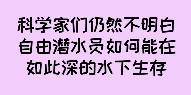 科学家们仍然不明白自由潜水员如何能在如此深的水下生存
