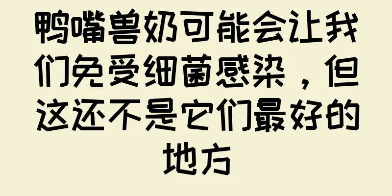 鸭嘴兽奶可能会让我们免受细菌感染，但这还不是它们最好的地方