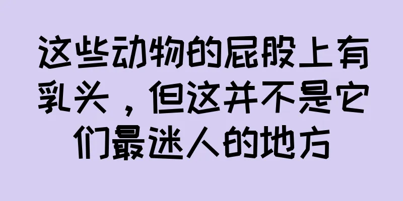 这些动物的屁股上有乳头，但这并不是它们最迷人的地方