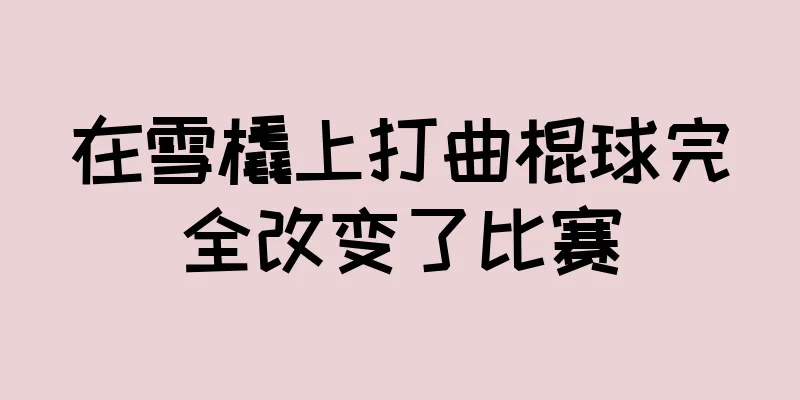 在雪橇上打曲棍球完全改变了比赛