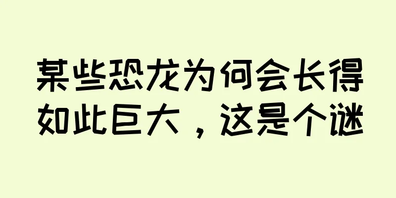某些恐龙为何会长得如此巨大，这是个谜