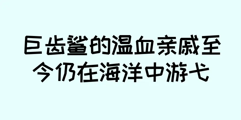 巨齿鲨的温血亲戚至今仍在海洋中游弋