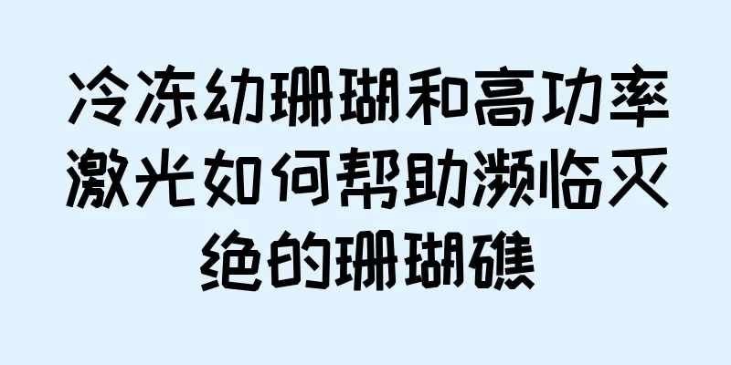 冷冻幼珊瑚和高功率激光如何帮助濒临灭绝的珊瑚礁