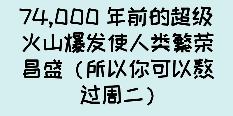 74,000 年前的超级火山爆发使人类繁荣昌盛（所以你可以熬过周二）