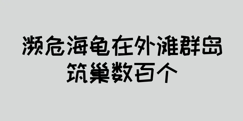 濒危海龟在外滩群岛筑巢数百个