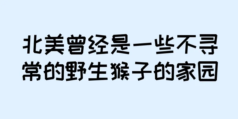 北美曾经是一些不寻常的野生猴子的家园