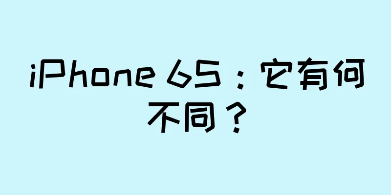 iPhone 6S：它有何不同？