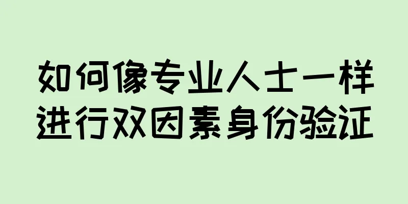 如何像专业人士一样进行双因素身份验证