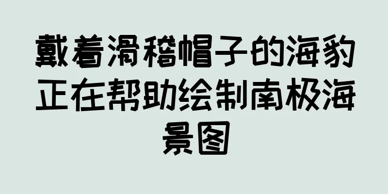戴着滑稽帽子的海豹正在帮助绘制南极海景图