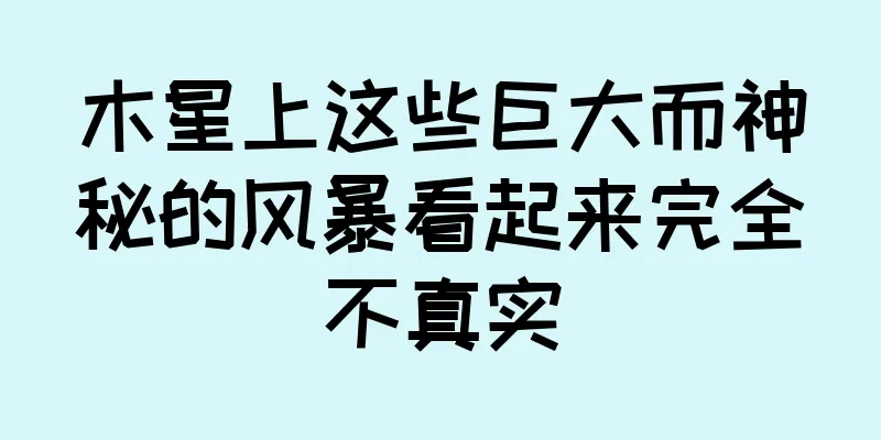 木星上这些巨大而神秘的风暴看起来完全不真实