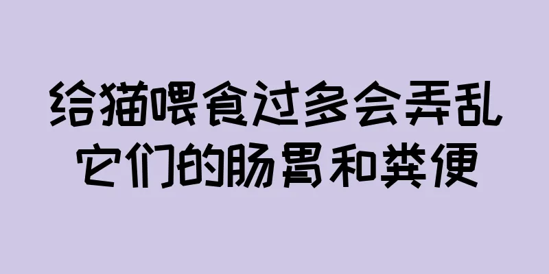 给猫喂食过多会弄乱它们的肠胃和粪便