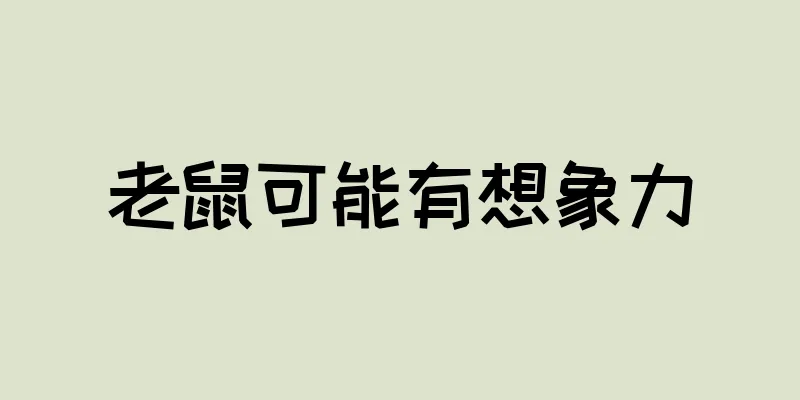 老鼠可能有想象力