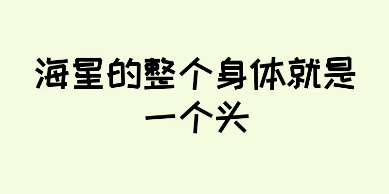 海星的整个身体就是一个头