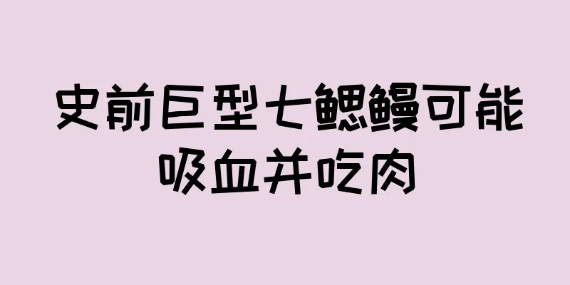 史前巨型七鳃鳗可能吸血并吃肉