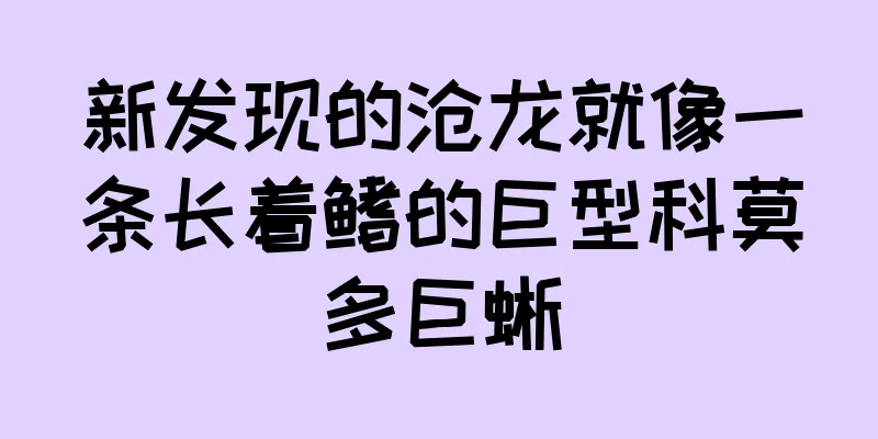 新发现的沧龙就像一条长着鳍的巨型科莫多巨蜥