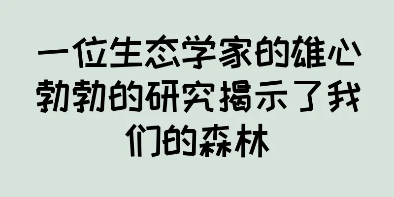 一位生态学家的雄心勃勃的研究揭示了我们的森林