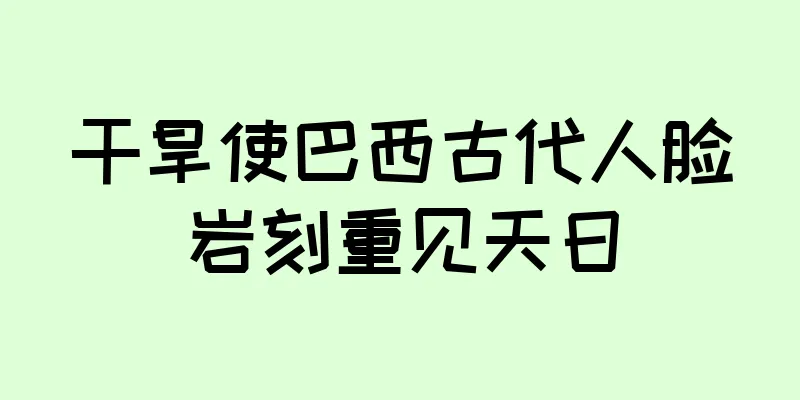 干旱使巴西古代人脸岩刻重见天日
