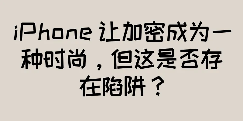 iPhone 让加密成为一种时尚，但这是否存在陷阱？