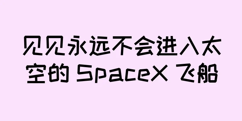 见见永远不会进入太空的 SpaceX 飞船