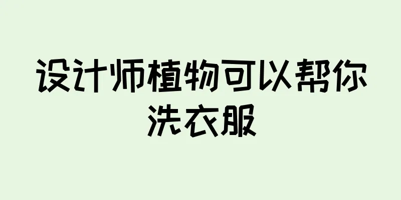 设计师植物可以帮你洗衣服