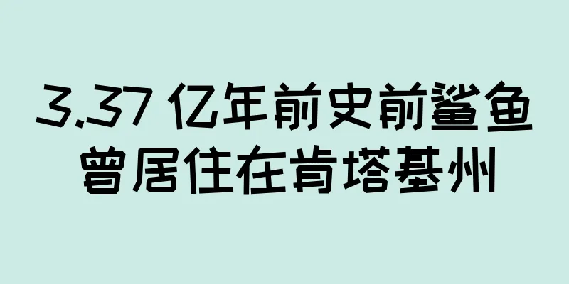 3.37 亿年前史前鲨鱼曾居住在肯塔基州