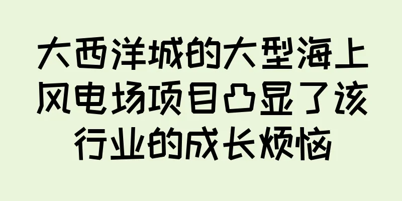 大西洋城的大型海上风电场项目凸显了该行业的成长烦恼