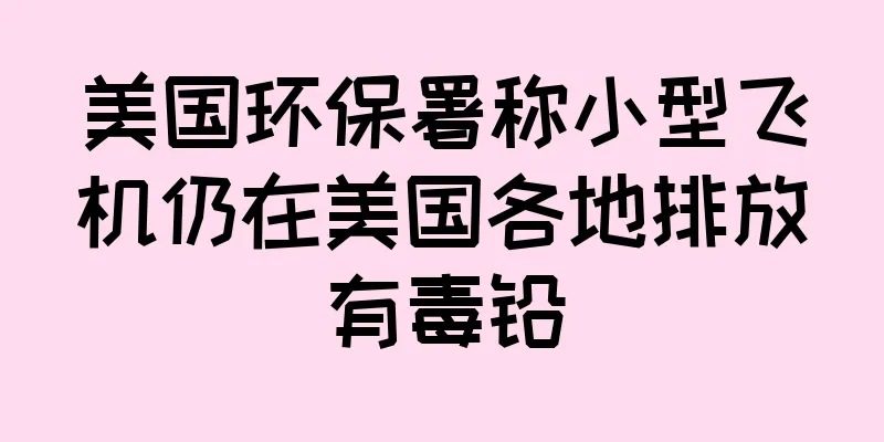 美国环保署称小型飞机仍在美国各地排放有毒铅