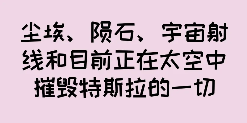 尘埃、陨石、宇宙射线和目前正在太空中摧毁特斯拉的一切