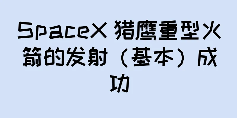 SpaceX 猎鹰重型火箭的发射（基本）成功