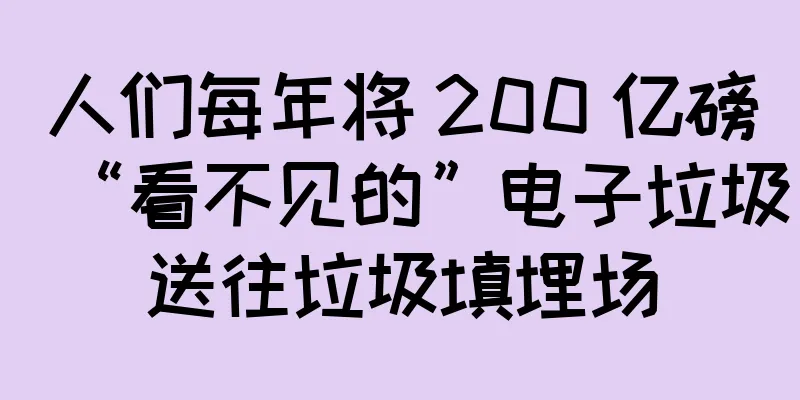 人们每年将 200 亿磅“看不见的”电子垃圾送往垃圾填埋场
