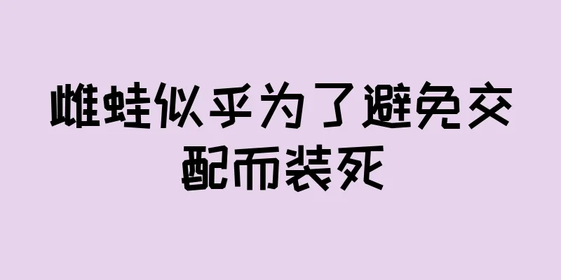 雌蛙似乎为了避免交配而装死