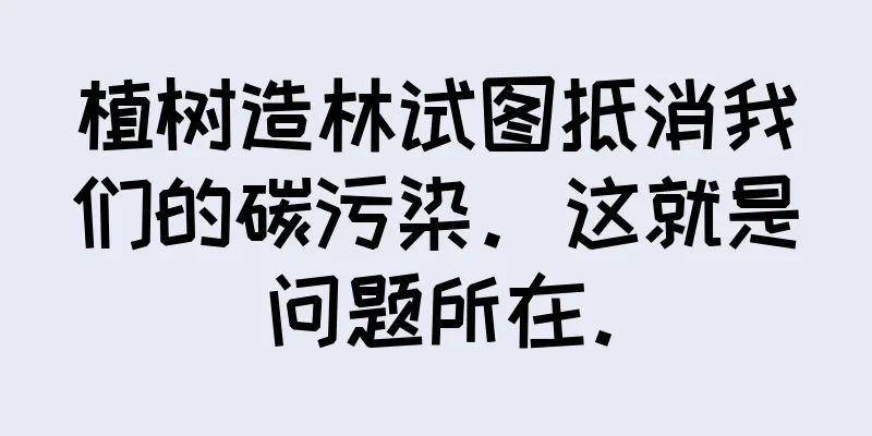 植树造林试图抵消我们的碳污染。这就是问题所在。