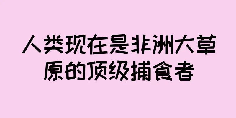 人类现在是非洲大草原的顶级捕食者
