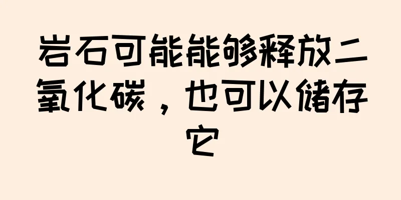 岩石可能能够释放二氧化碳，也可以储存它
