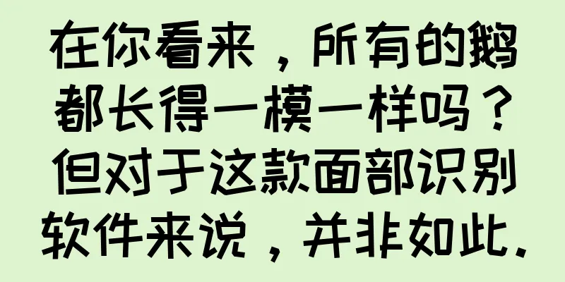 在你看来，所有的鹅都长得一模一样吗？但对于这款面部识别软件来说，并非如此。