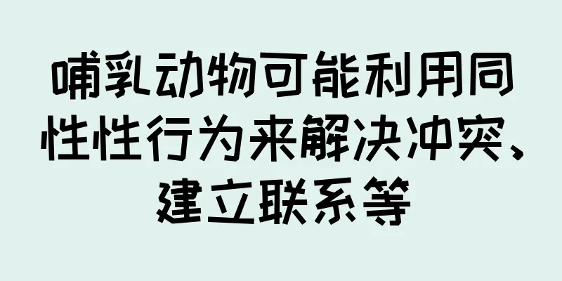 哺乳动物可能利用同性性行为来解决冲突、建立联系等