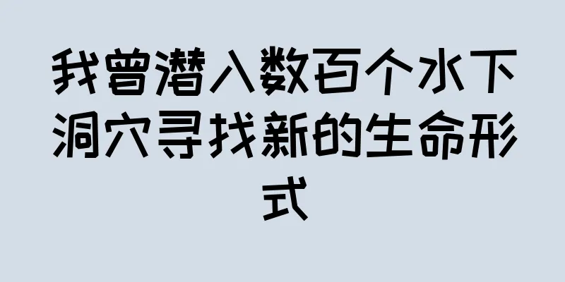 我曾潜入数百个水下洞穴寻找新的生命形式
