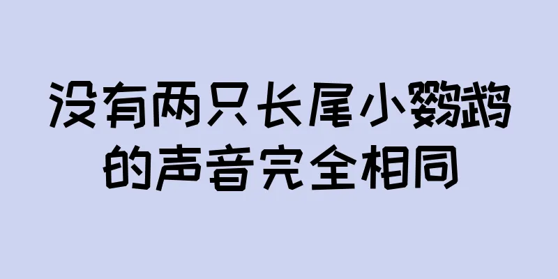 没有两只长尾小鹦鹉的声音完全相同