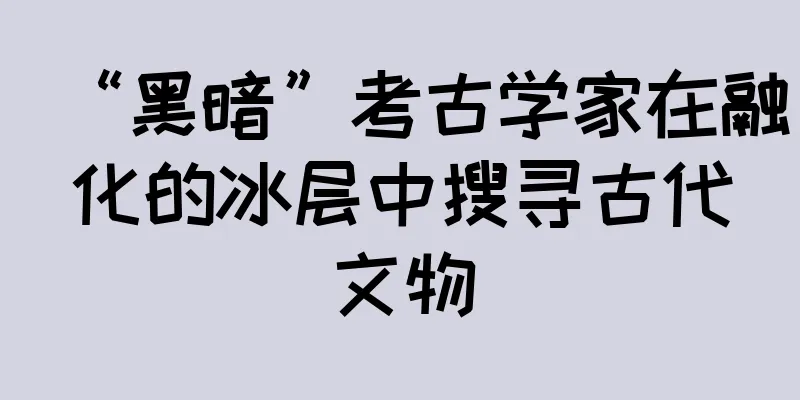 “黑暗”考古学家在融化的冰层中搜寻古代文物